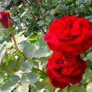 까페오월 이미지