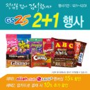 지에스이십오 이미지