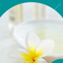 바른척추안마원 이미지