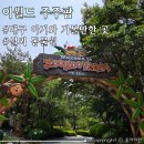 두류공원로 | 대구 동물원 아이와 가볼만한 곳 &lt;이월드 주주팜&gt; 주말 방문후기