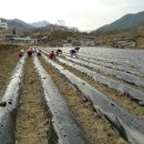 지리산슈퍼