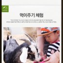 승마랜드 이미지