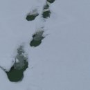 정원김치 이미지