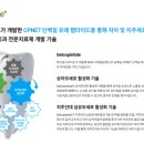 하이센스 이미지