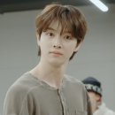 헤어 미 메시지 | 2026 라이즈 도쿄돔 콘서트 라이징라우드 스페셜에디션 중콘 막콘 후기(도쿄돔 1층 2층 시야)✨