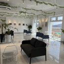 코브나인 이미지