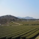 기찬빌리지 이미지