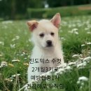 별고을분식