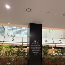 알파(주)본점 | [카페] 과천 대형카페 펄시커피 과천 후기 | 메뉴, 주차