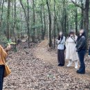 곶자왈 | 제주 곶자왈 팀빌딩 프로그램 후기 (기업 워크샵 사례)