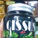 신정약초 이미지