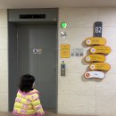 새천년농장 | 서울상상나라 아이랑 가볼만한 곳 예약 주차 식당 총정리