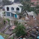 고성국화꽃향기 이미지