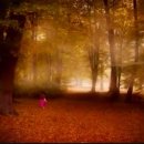 가을은 나뭇가지 끝에 매달려 있고 ...Newage Best Collection/Giovann Marradi - Secrets外9곡 이미지
