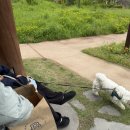 KCC 사옥 앞 횡단보도 | 사랑으로