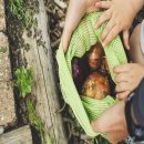 녹차카페 이미지