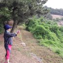 장암진성 이미지