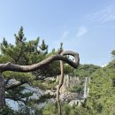 토하펜션 | [제주_03] 정방폭포 여행기🌊 중문 카페 하라케케 방문 후기