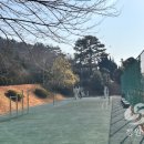 도계체육공원 게이트볼장 이미지