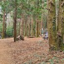 세화 교차로 이미지