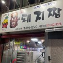 통나무돼지짱 이미지