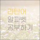 비씨에이 이미지