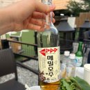 가볼만한 곳 여행코스 맛집 카페 추천 :: 활옥동굴/탄금대/충주호 유람선/서유숙카페/메밀마당/권고집만두