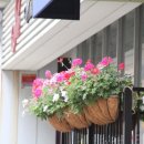삼성미장원