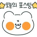 만박동물병원 이미지