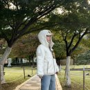 간절기 패딩자켓 제작 이미지