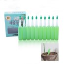 아린즈