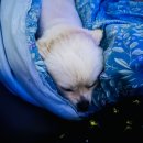 (주)힐링애드 이미지