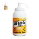 벅스존 - 서귀포시 일주동로 6242 | 벅스존