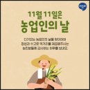 경희대안화태권도장 이미지