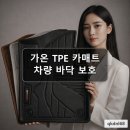 가온핏 | 가온 TPE 카매트 오니핏 활용법