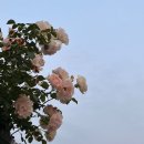 라향각마라탕&7곡제면소