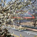 섬진주유소 이미지