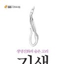 카두케우스 이미지