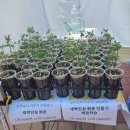 대화초교 | [농부의시장] 2024 서울시 바로마켓 서울점(파리공원) 투어 후기
