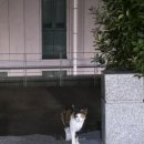 라임에프앤비(주)화정점 | 그이의 두 번째 외출..