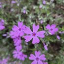 가수원로 이미지