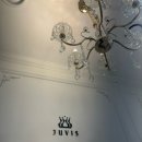 쥬비스 수지구청점 1주차후기 ,요요없는 건강한 다이어트 쥬비스