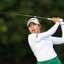 블루베이 이미지