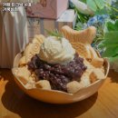 시흥MTV보니타가 | 카페 피크닉 시흥 거북섬점 추천 시흥 카페 맛집 휴무일 주차 리뷰 안내
