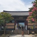 삼보주유소 | 양산 통도사 불상 없는 대웅전 계곡 근처 카페 맛집