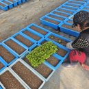 금산군농업기술센터 이미지