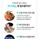 걸스투맘 이미지