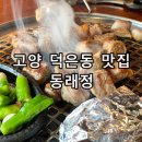 동래정고양덕은점 | 고양 덕은동 삼겹살 맛집 동래정 고양덕은점 고기집 후기