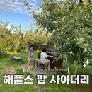 태백특산물카페사업 | 해플스 팜 사이더리 아이와 함께 가기 좋은 거창 사과 카페