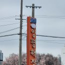 철원양평해장국 | 일산 선지해장국 맛집 철원양평해장국 후기｜평일 점심인데도 사람 많은 이유